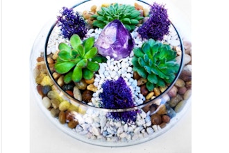 Plant Nite: Glass Lily Bowl w/ River Rocks & Amethyst